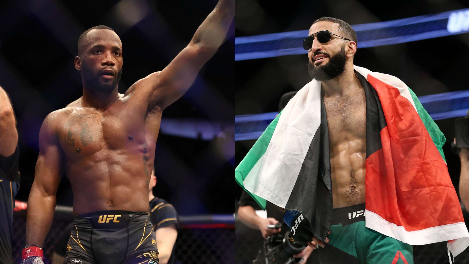 来了回报 来了回报