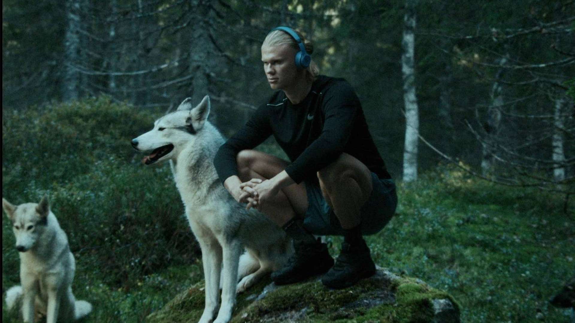 其精湛的球 其精湛的球