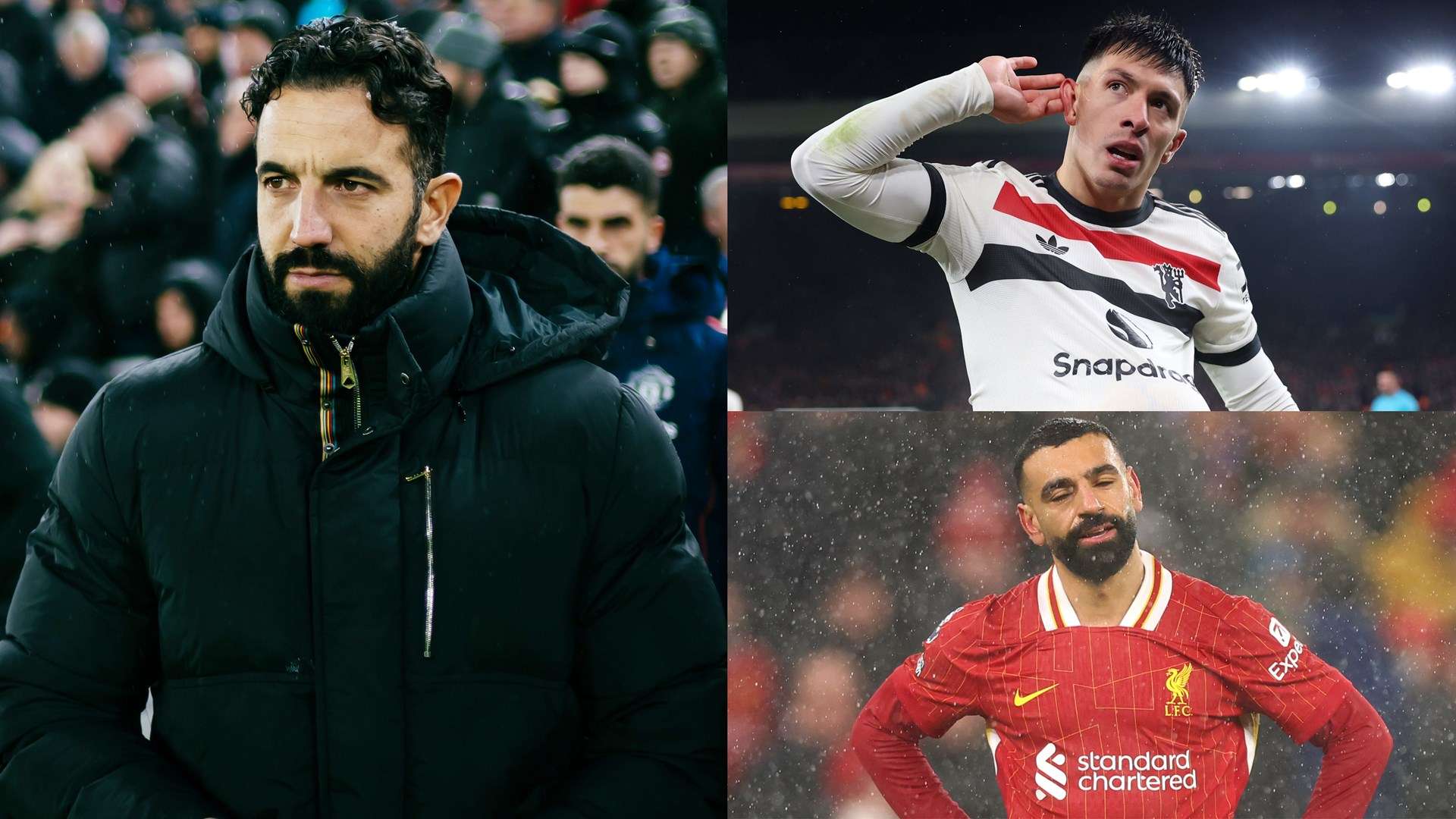 强调人道主 强调人道主